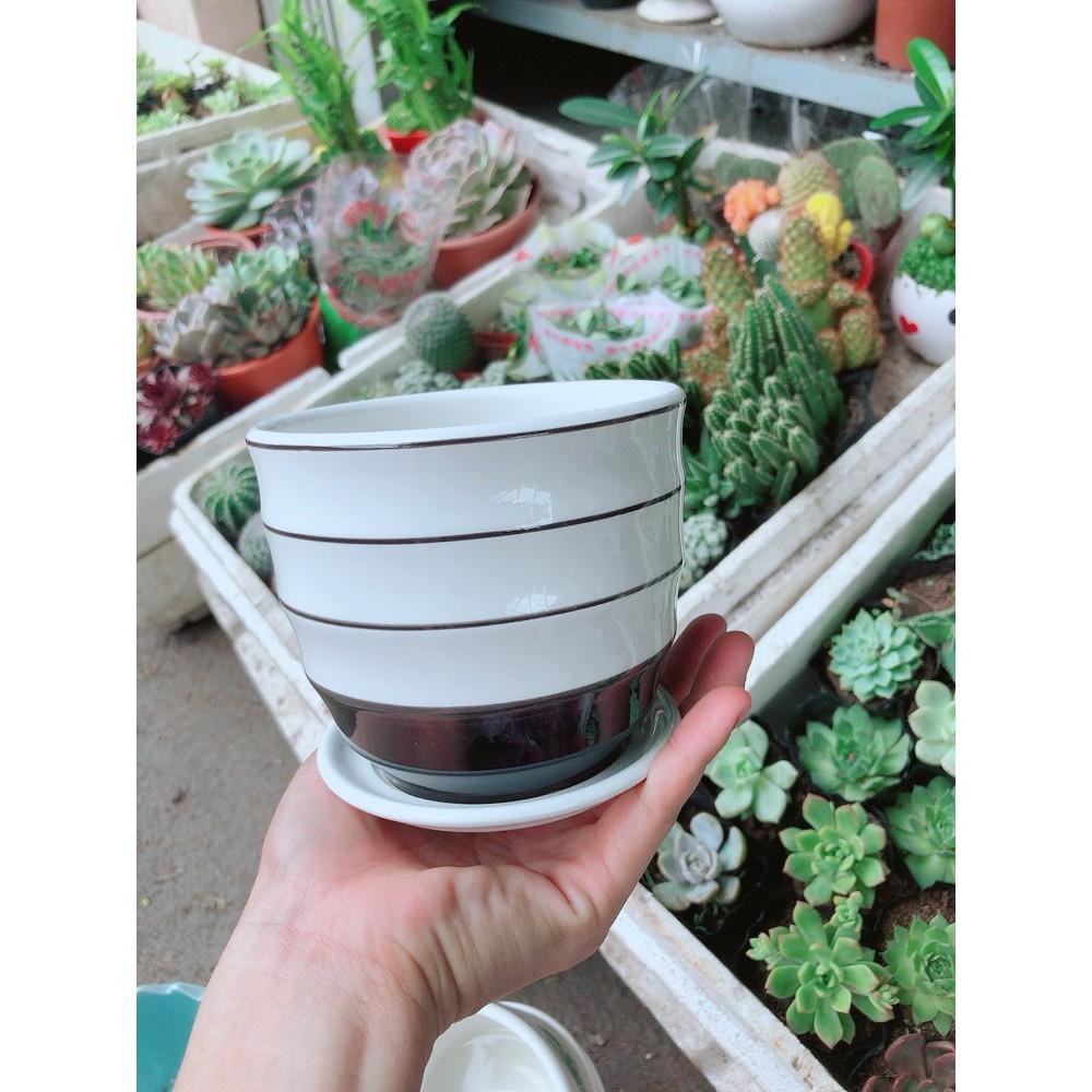 Chậu kiểu trắng đen tráng men cao cấp kèm dĩa lót