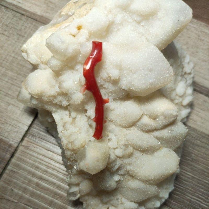 110- L Nhánh San Hô Đỏ (THIÊN NHIÊN)