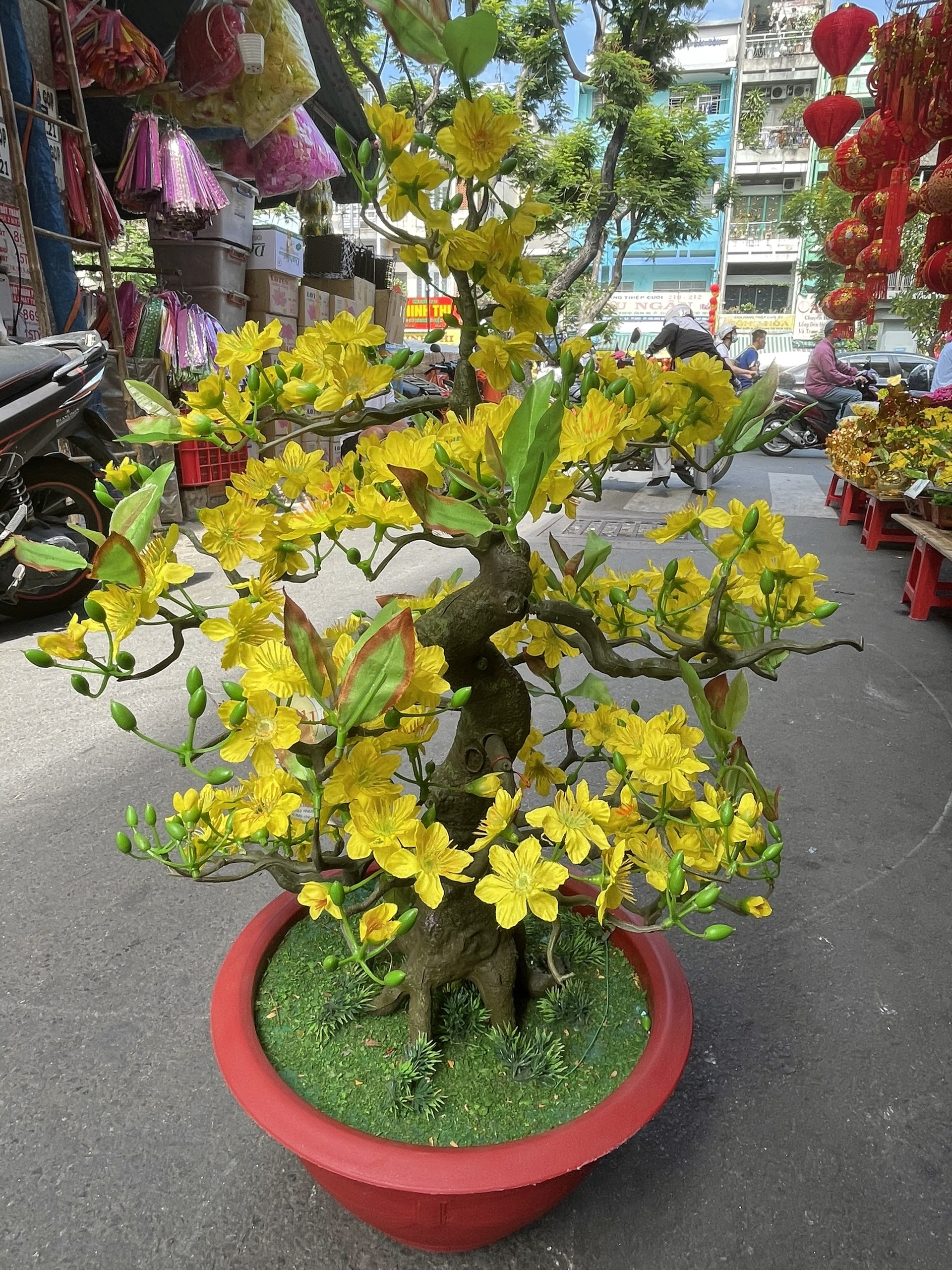 Cây Hoa Mai Bonsai Nhựa Cao 80 cm Hoa Mai Giả Trang Trí Tết