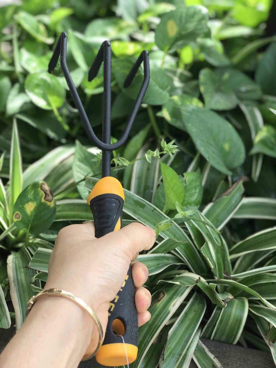 Bộ 4 dụng cụ quốc xẻng làm vườn chính hãng Tolsen tặng găng tay cao su kháng khuẩn