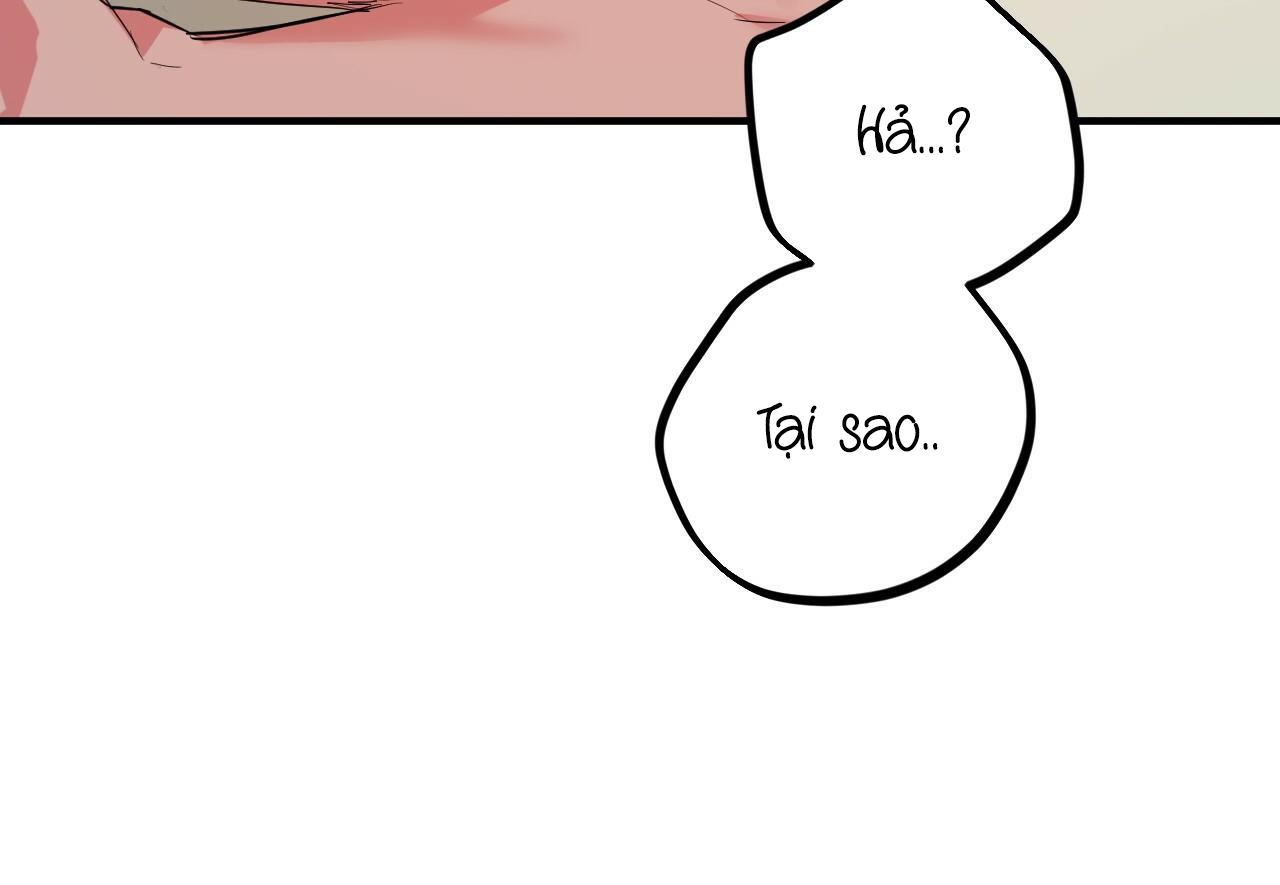 đàn thỏ của habibi chapter 29 142