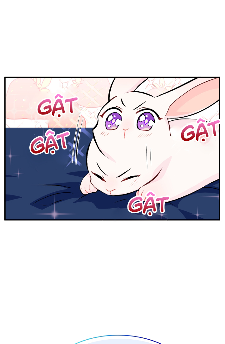 mối liên kết giữa báo đen và bé thỏ chapter 3 19