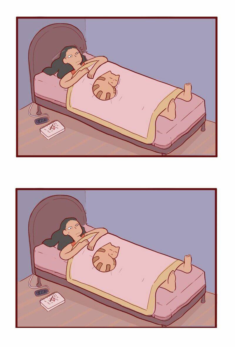 saphie: chú mèo một mắt chapter 21 2