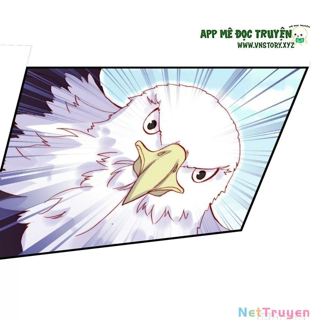 lại bị bệnh chiều chuộng quấn lấy chapter 55 33