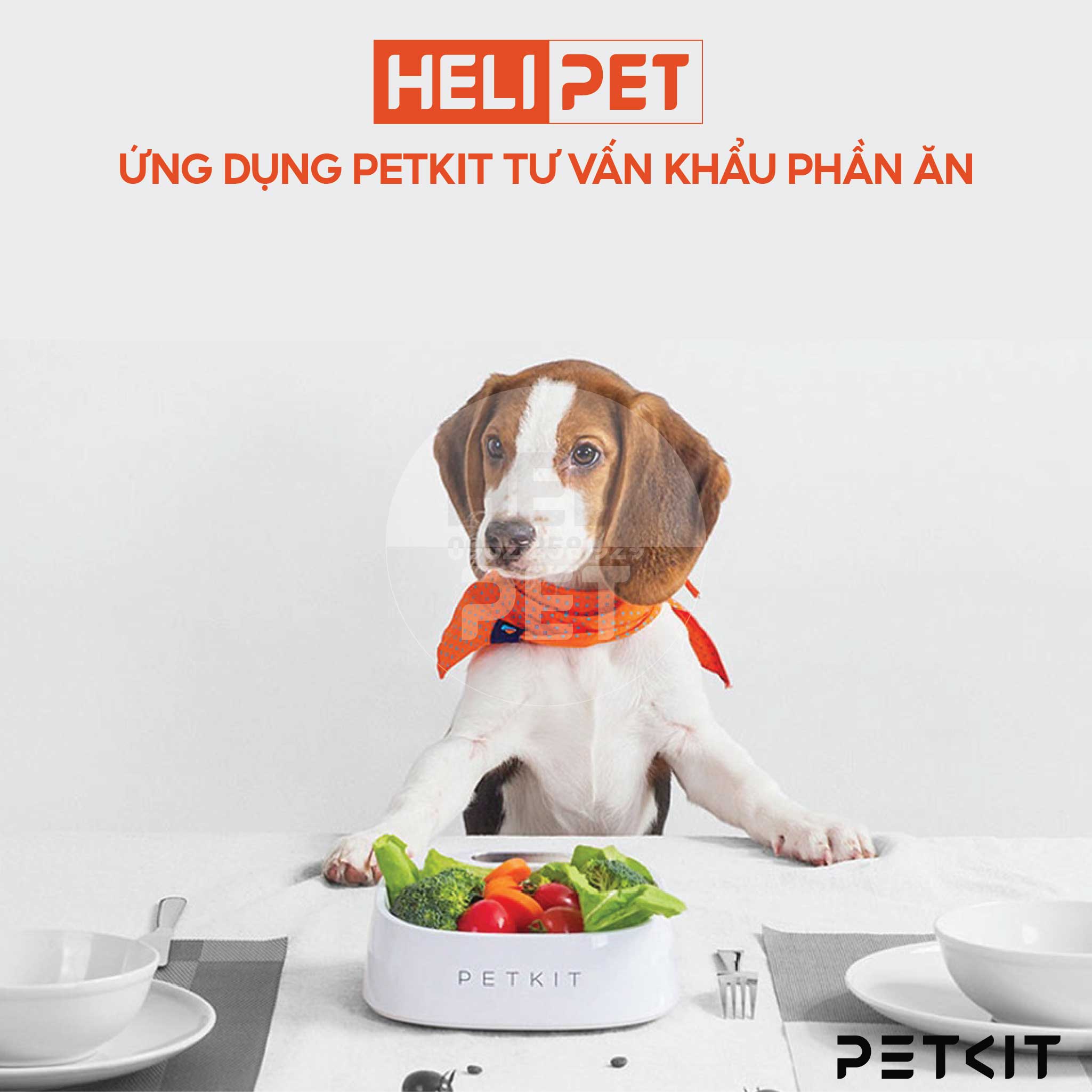 Bát Ăn Thông Minh, Chén Ăn Định Lượng, Cân Thức Ăn Cao Cấp, Kháng Khuẩn PETKIT - HeLiPet