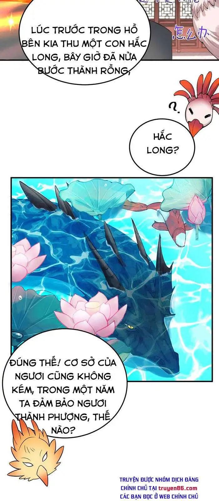 Ta Vô Địch Lúc Nào chapter 0 7