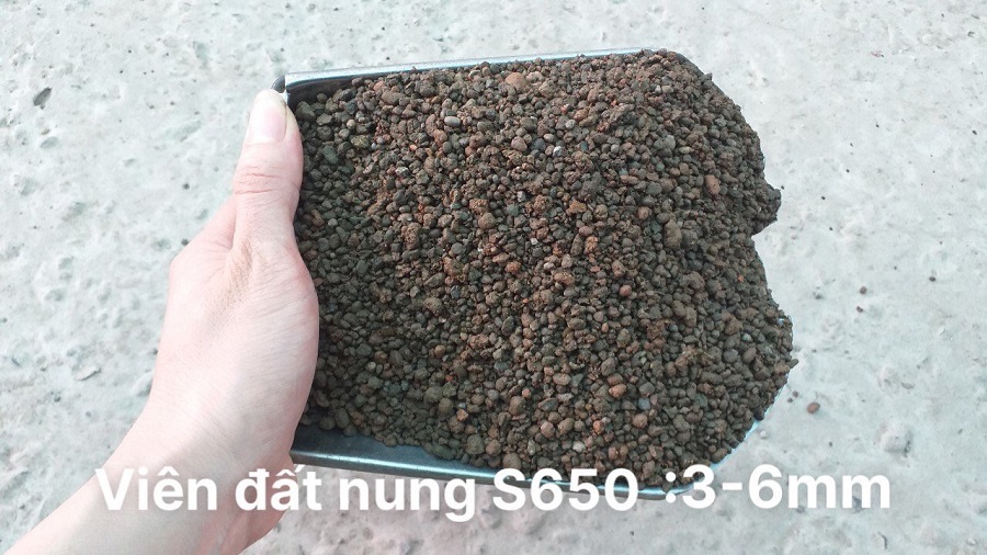 1kg Viên Sỏi Nhẹ Đất Nung - Full Size Trồng Lan, Trồng Cây, Sen Đá, làm hệ thống lọc