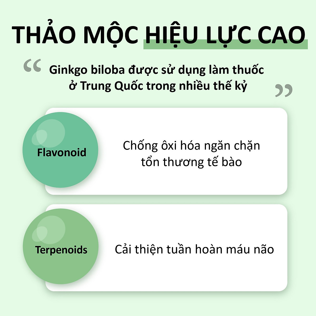 NHẬP KHẨU USA CHÍNH HÃNG - Viên Uống Bạch Quả Solgar Super Ginkgo Bibola - Viên Uống Bổ Não Giúp Tăng Cường Chức Năng Tuần Hoàn Não