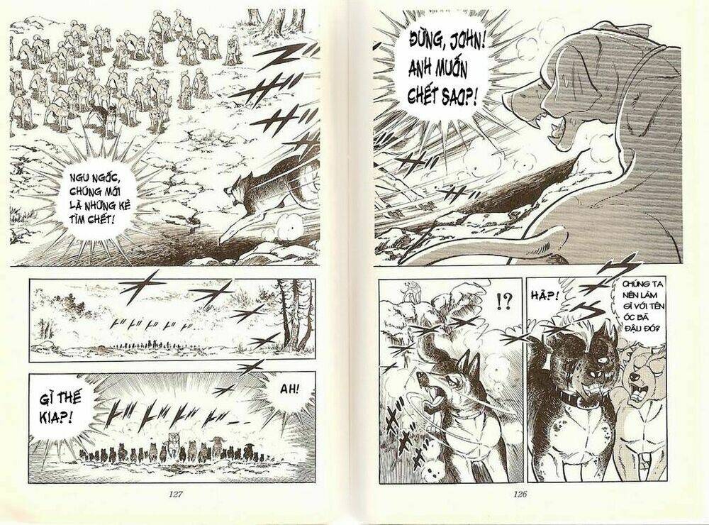 chú chó có nghĩa - ginga nagareboshi gin chapter 20 12