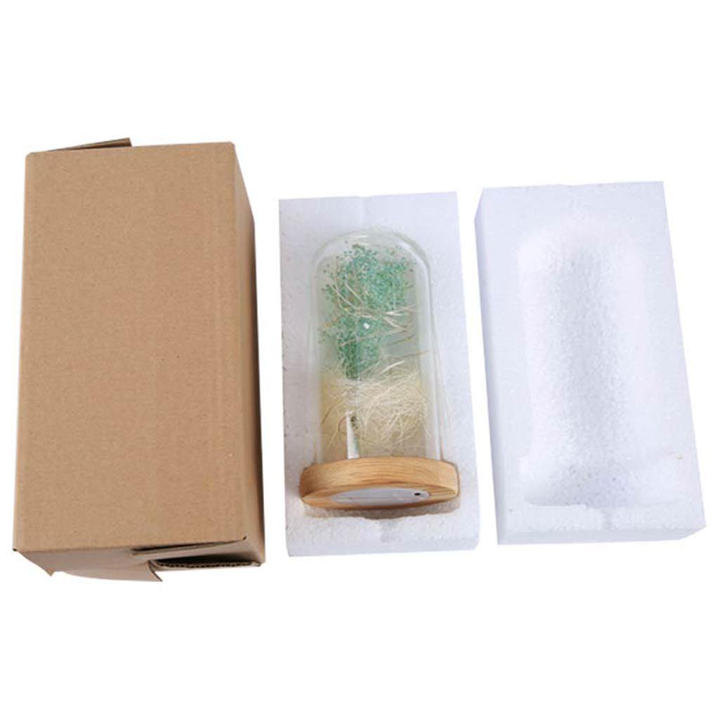 Clear Glass Lamp Night Lamp Ornament Flower LED Light in Glass