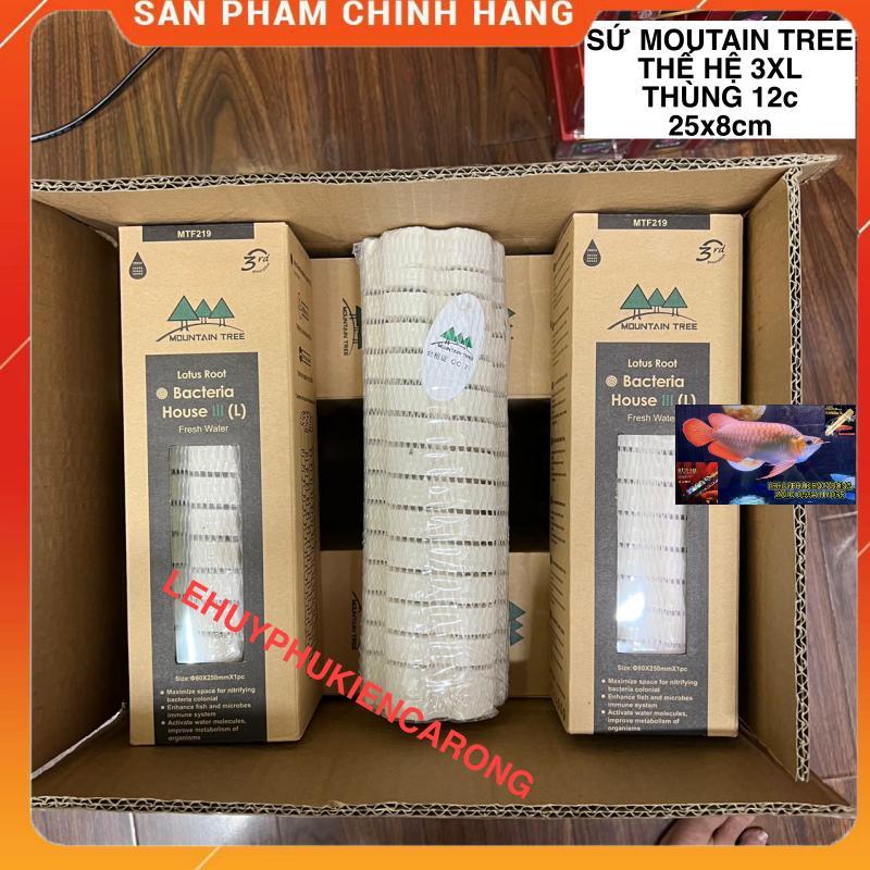 Sứ Củ Sen Thế Hệ 3 Mountain Tree - Size 25cm x 8cm
