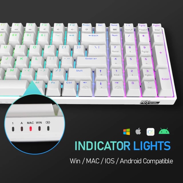 HOTSWAP RK100 RGB  - Bàn phím cơ không dây Royal Kludge RK100 led RGB Có 3 chế độ kết nối Bluetooth 5.0/ Wireless / Type C - Hàng chính hãng