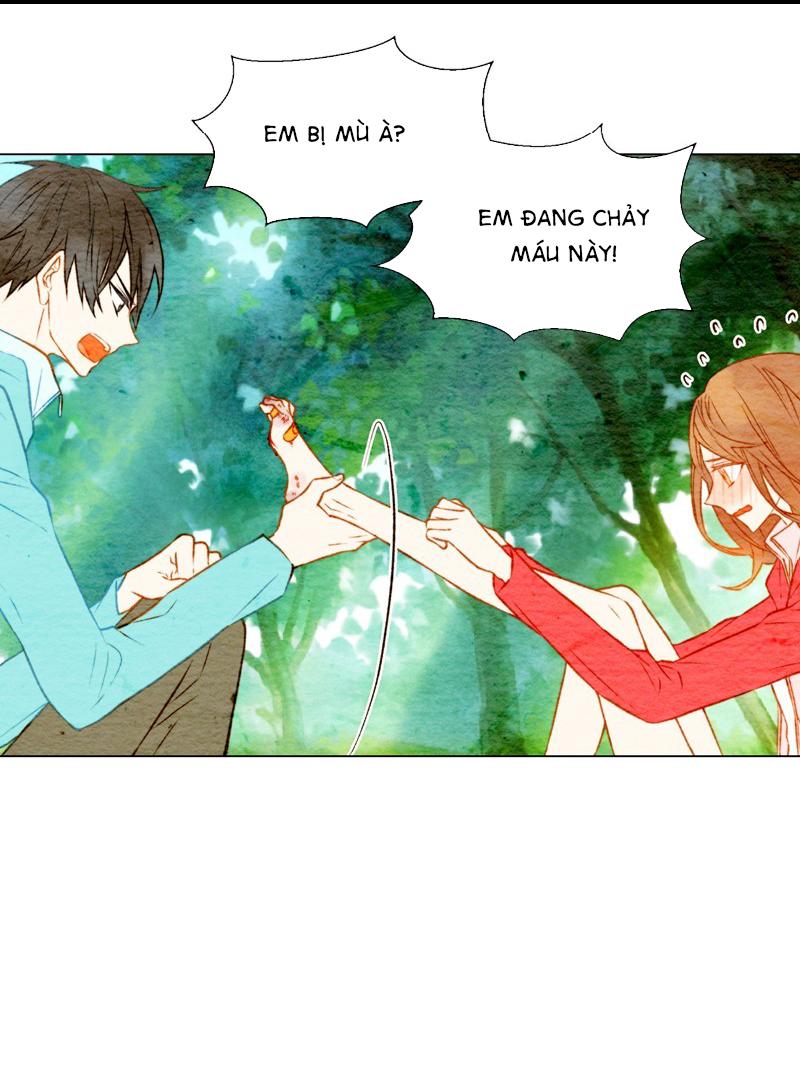 sao chép chapter 13 16