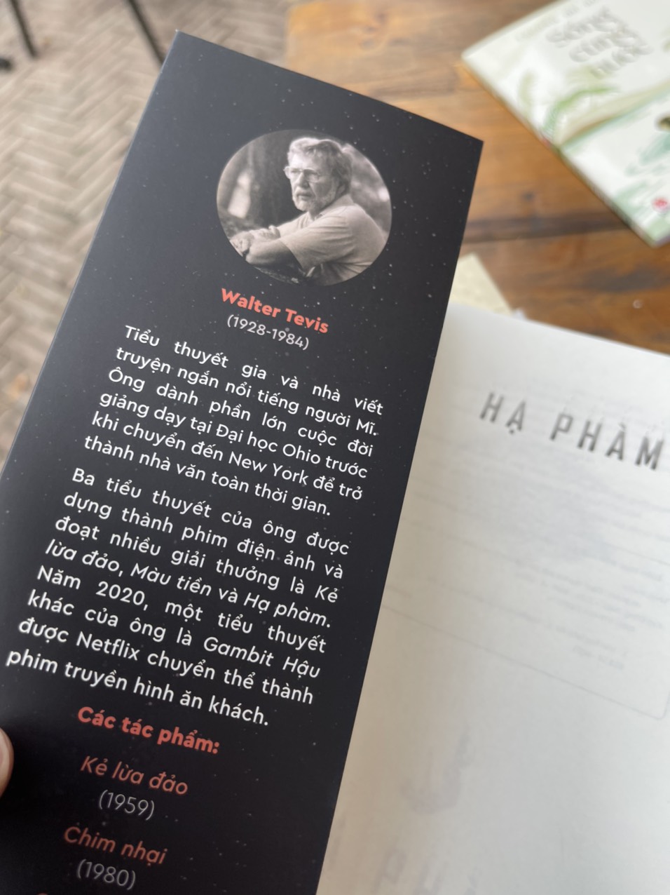 HẠ PHÀM - Walter Tevis - Thái Vi, Yên Chi dịch - Nxb Kim Đồng