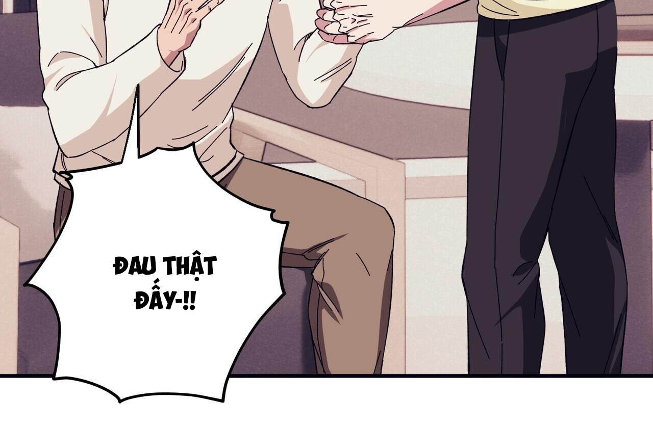 chàng dâu nhà họ kang chapter 42 27