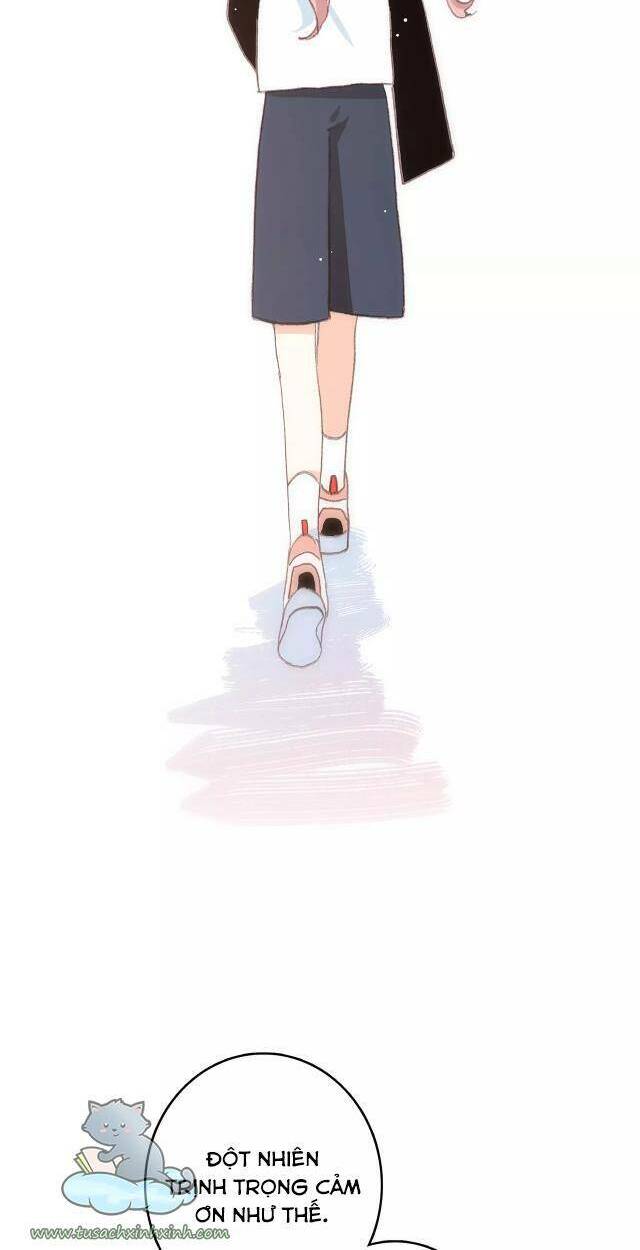 con tim rung động 3 chapter 61 51