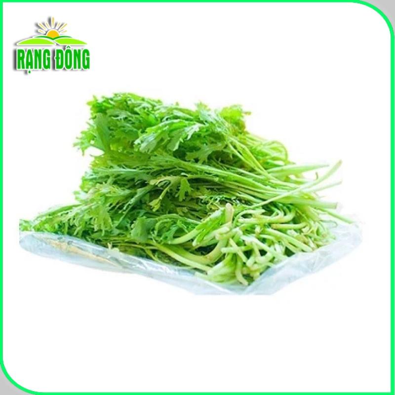 Hạt giống Cải Đuôi Phụng Rado 133 (20g~3500 hạt) trồng quanh năm, sinh trưởng tốt, nhanh thu hoach - Hạt giống Rạng Đông