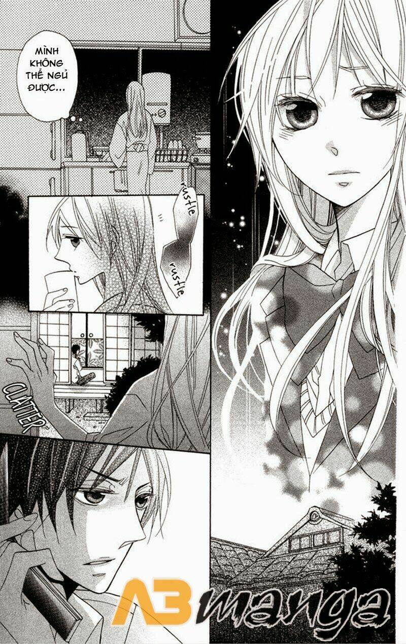 hoa hồng hoang dã chapter 7 13