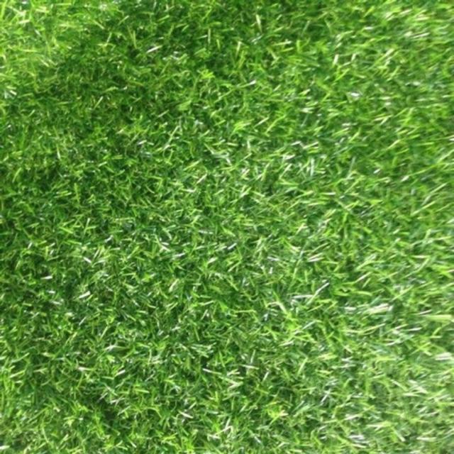 Thảm cỏ nhân tạo 2cm