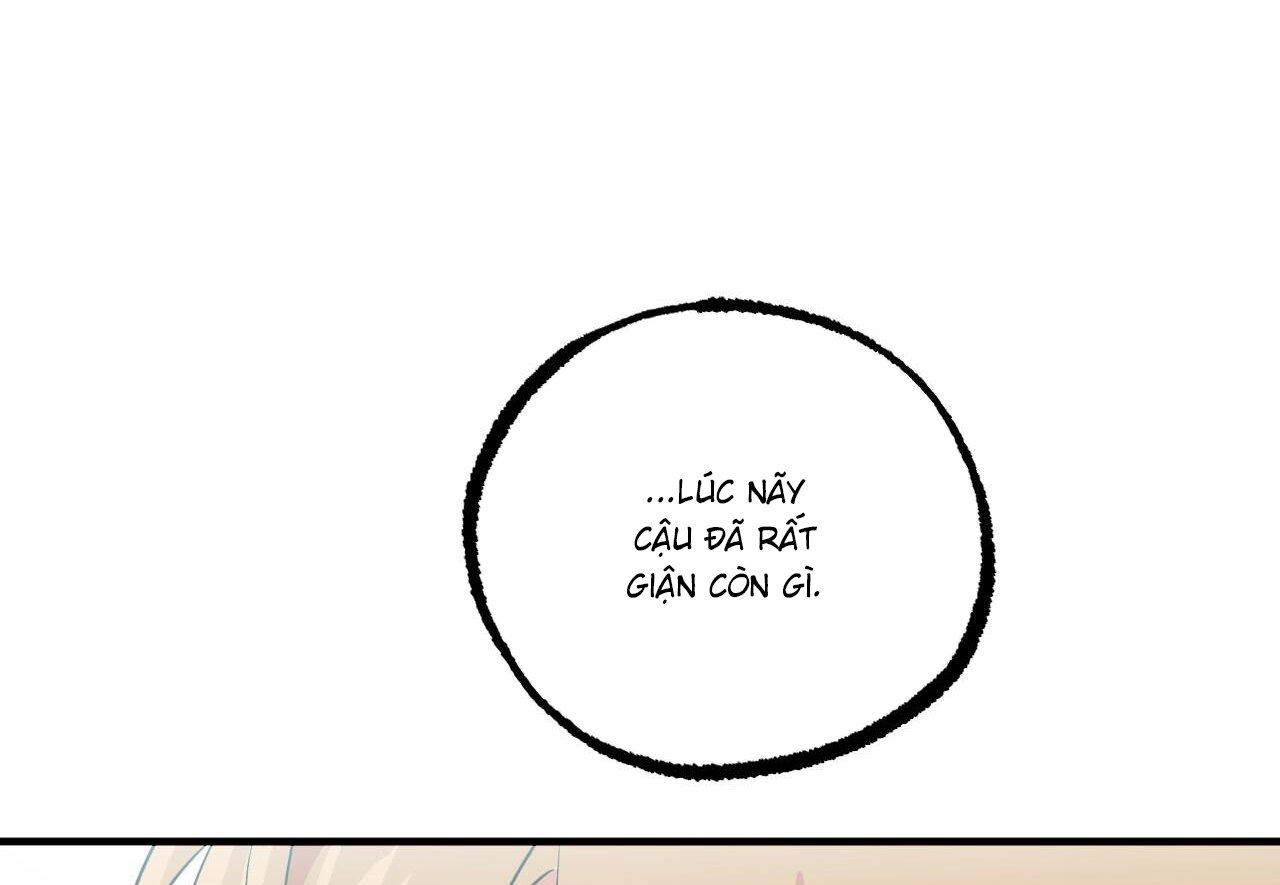 những chú thỏ của hapypy chapter 60 233