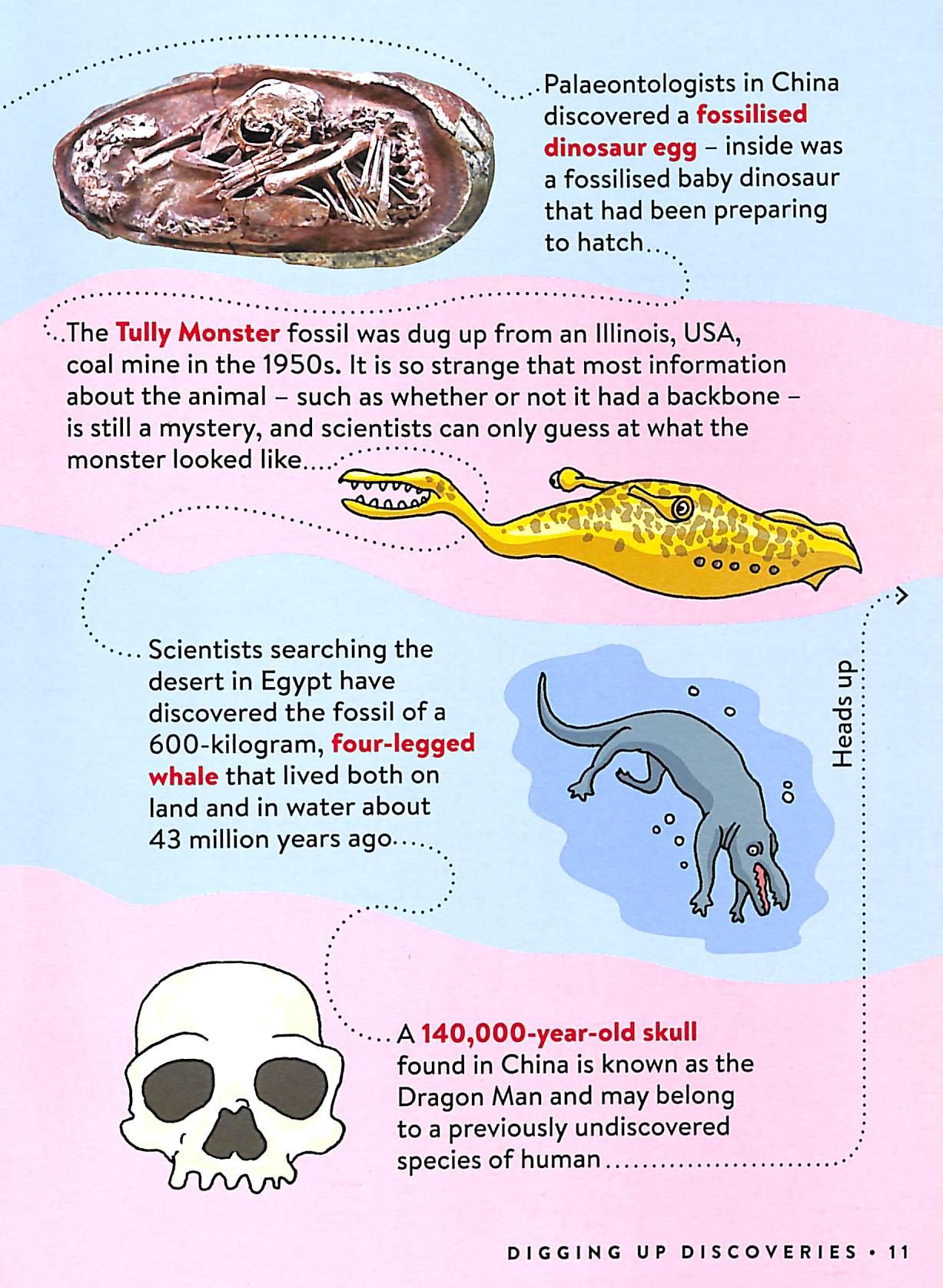 Sách ngoại văn: Secret FACTopia!