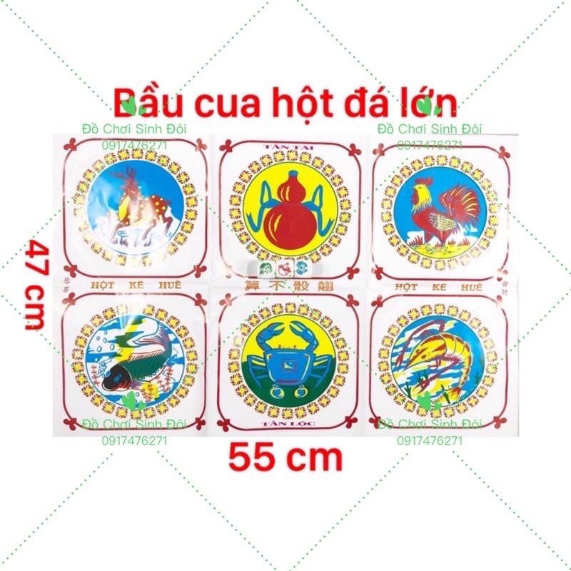 Cờ bầu cua hột đá lớn 2,5cm