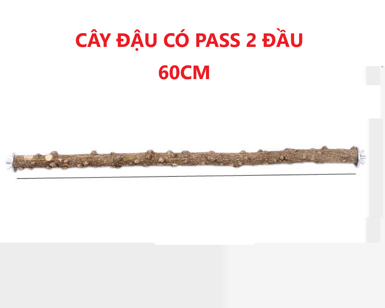 1 CÂY GỖ GẠO SIÊU CỨNG DÀI 60CM ĐỂ CHO CHIM ĐẬU