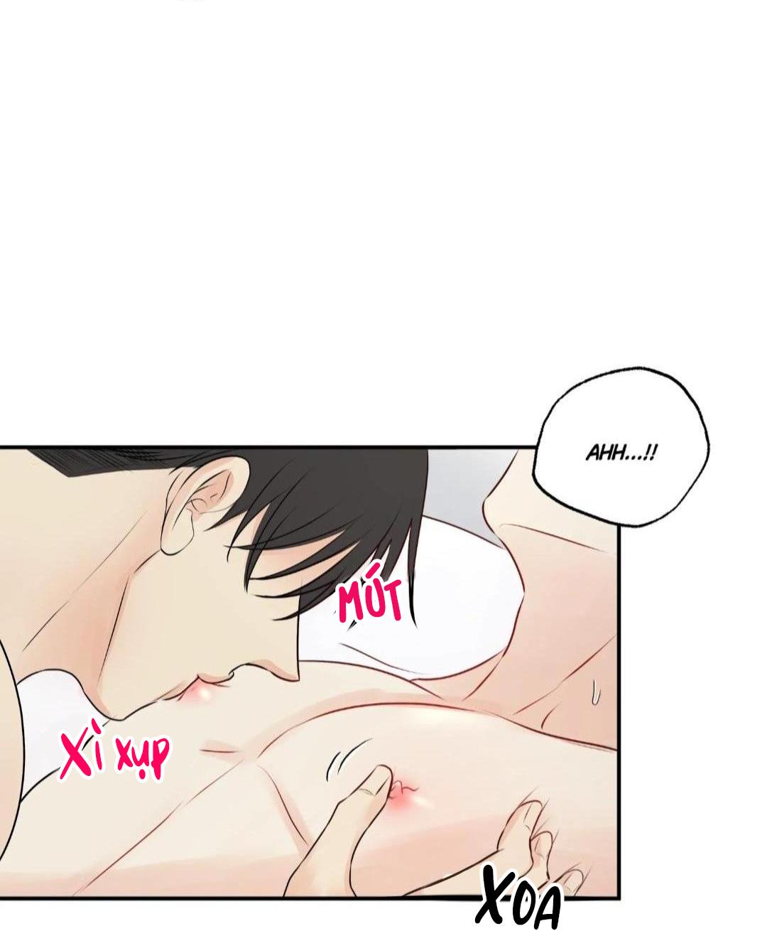 hạnh phúc trọn vẹn chapter 22 48