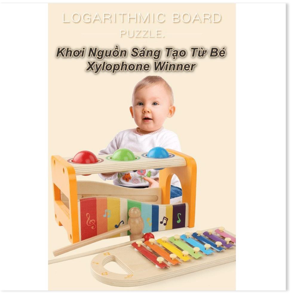 Đồ chơi sáng tạo cho bé Xylophone Winner - Khơi Nguồn Sáng Tạo Từ Bé