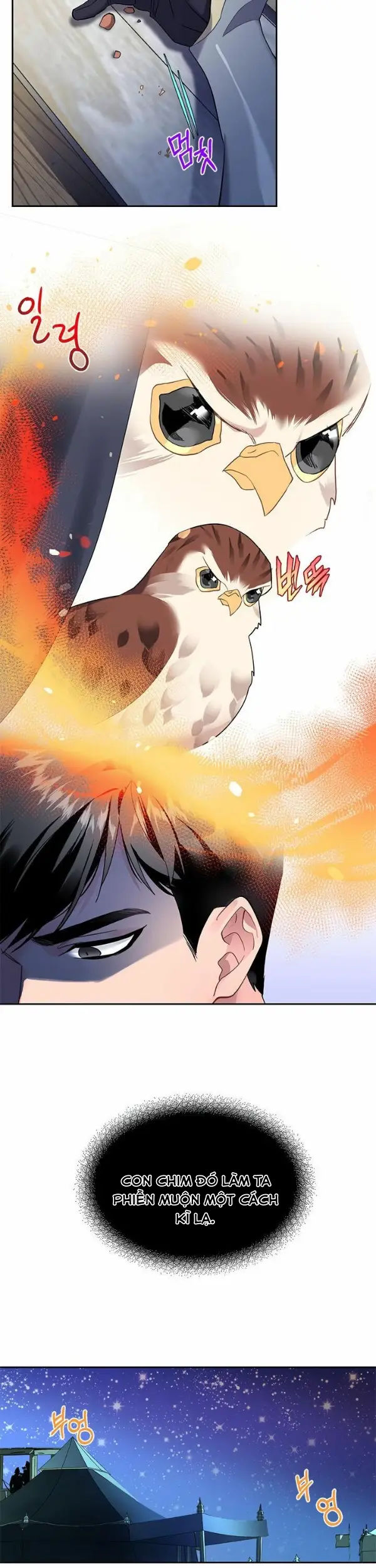 công chúa chim ưng cavier chapter 5 11