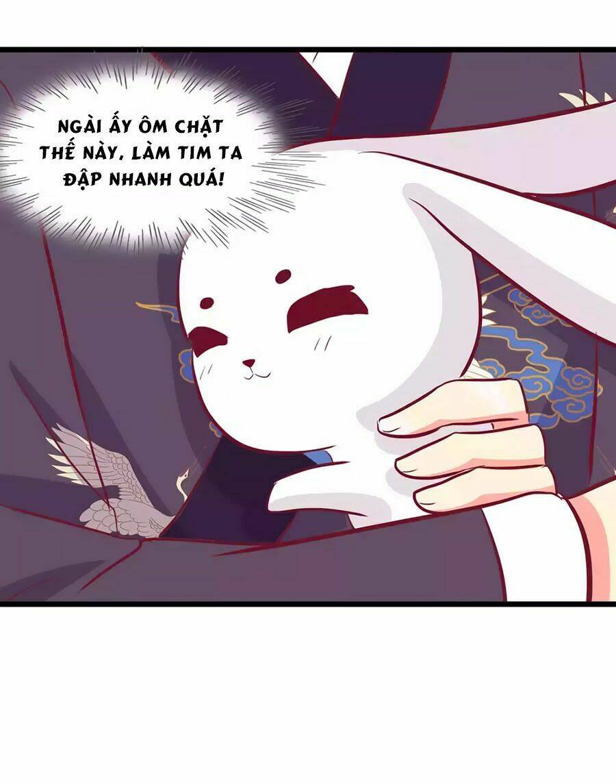 thỏ yêu tiểu vương phi chapter 92 16