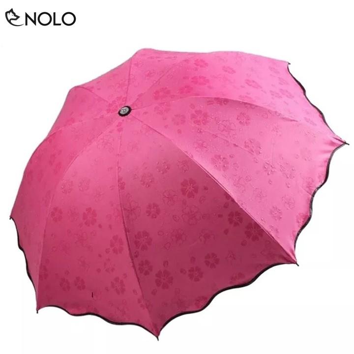 Dù Ô Đi Nắng Mưa Chống Tia UV Gặp Nước Nở Hoa Rộng Khi Bung Rộng 112cm