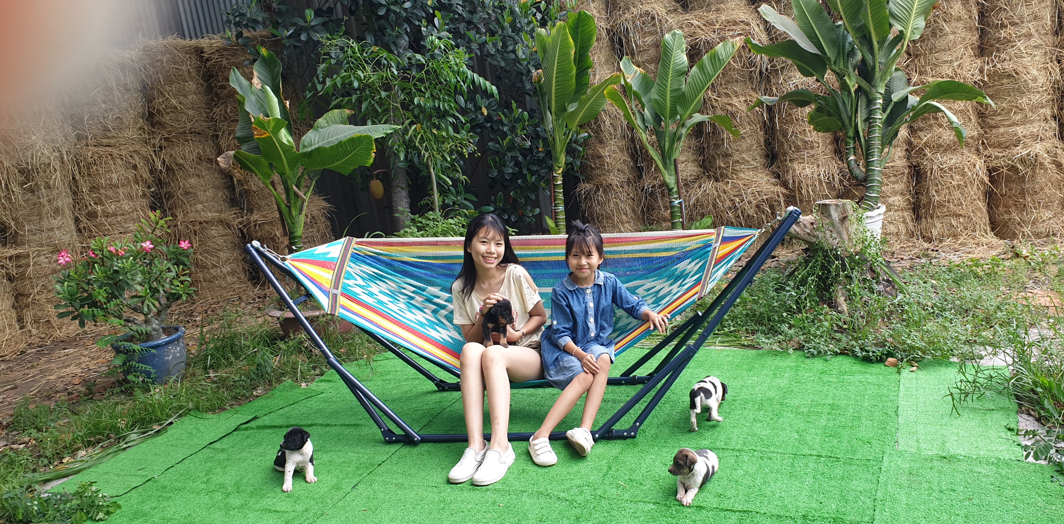 BỘ VÕNG SẮT SƠN TĨNH ĐIỆN LOẠI VIP - Á CHÂU