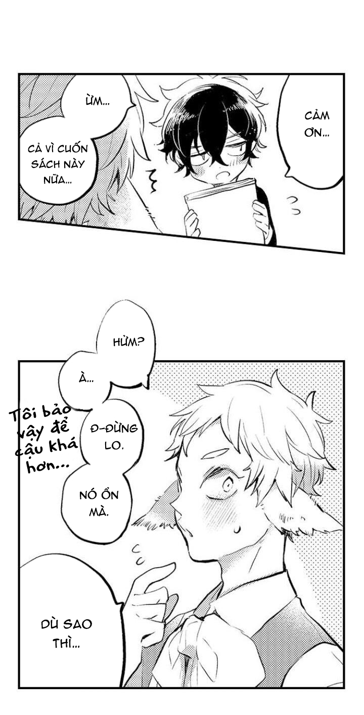 tiếng gọi của tình yêu sau trải nghiệm cận tử chapter 16 8