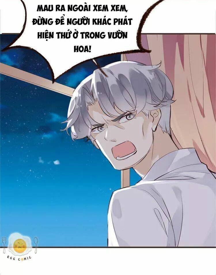 nở rộ trên bụi gai chapter 45 8