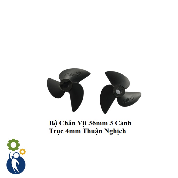 Bộ Chân Vịt 36mm 3 Cánh Trục 4mm Thuận Nghịch