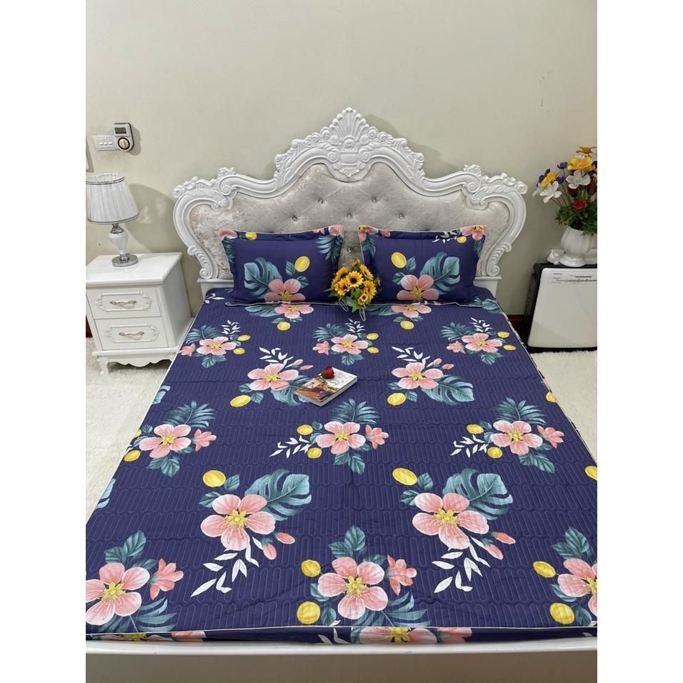 Bộ ga gối cotton trần bông Hàn các kích thước