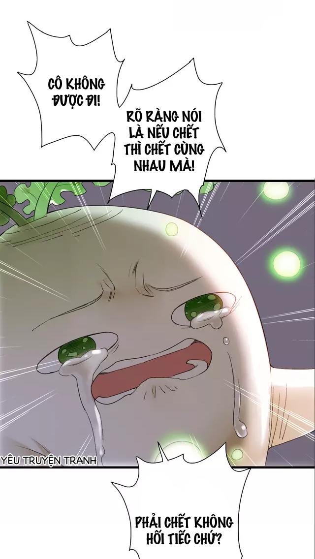 thực nhị chapter 12.2 20