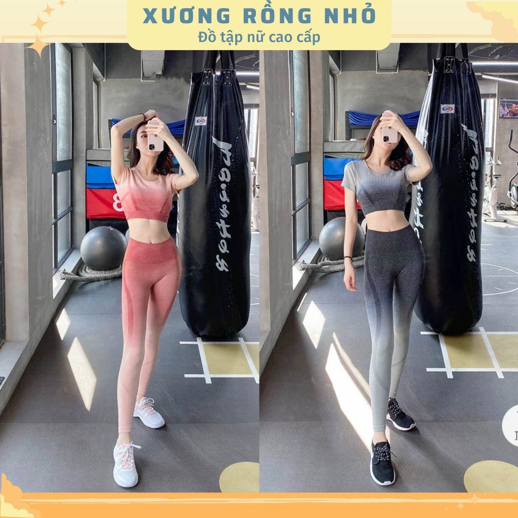 Bộ quần áo tập gym, yoga thể thao nữ có sẵn lót ngực, Đồ tập nữ ombre, quần tập cạp cao chất lệu thông thoáng, co giãn