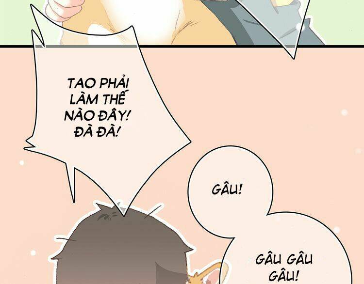 con tim rung động 3 chapter 9 121