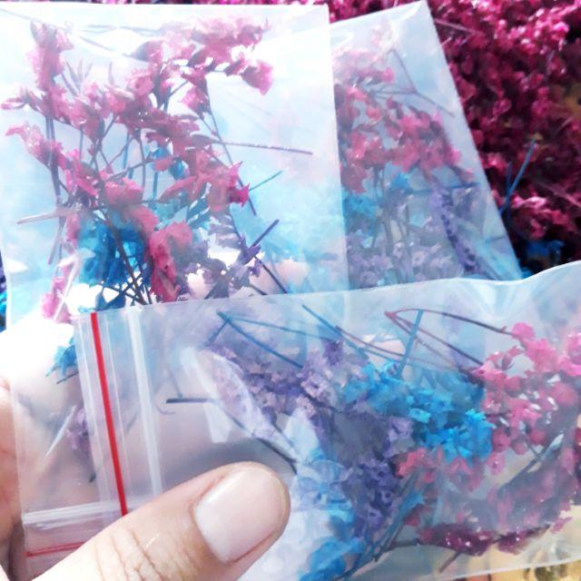 Hoa sao khô mini trang trí móng, trang sức resin.