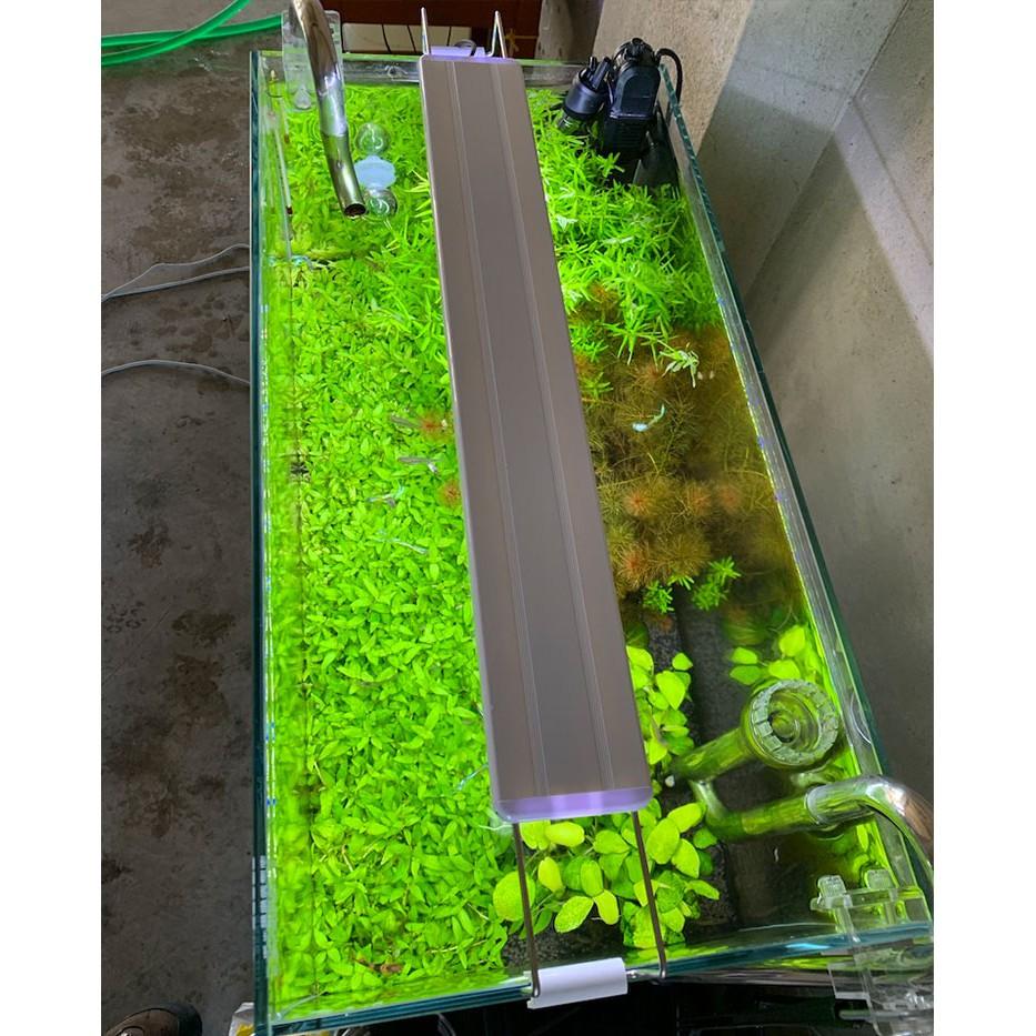 Đèn led 4 và 6 dãy ánh sáng trắng hoặc phối màu WRGB dành cho hồ thủy sinh, hồ cá cảnh, VUI LÒNG XEM KỸ MÔ TẢ