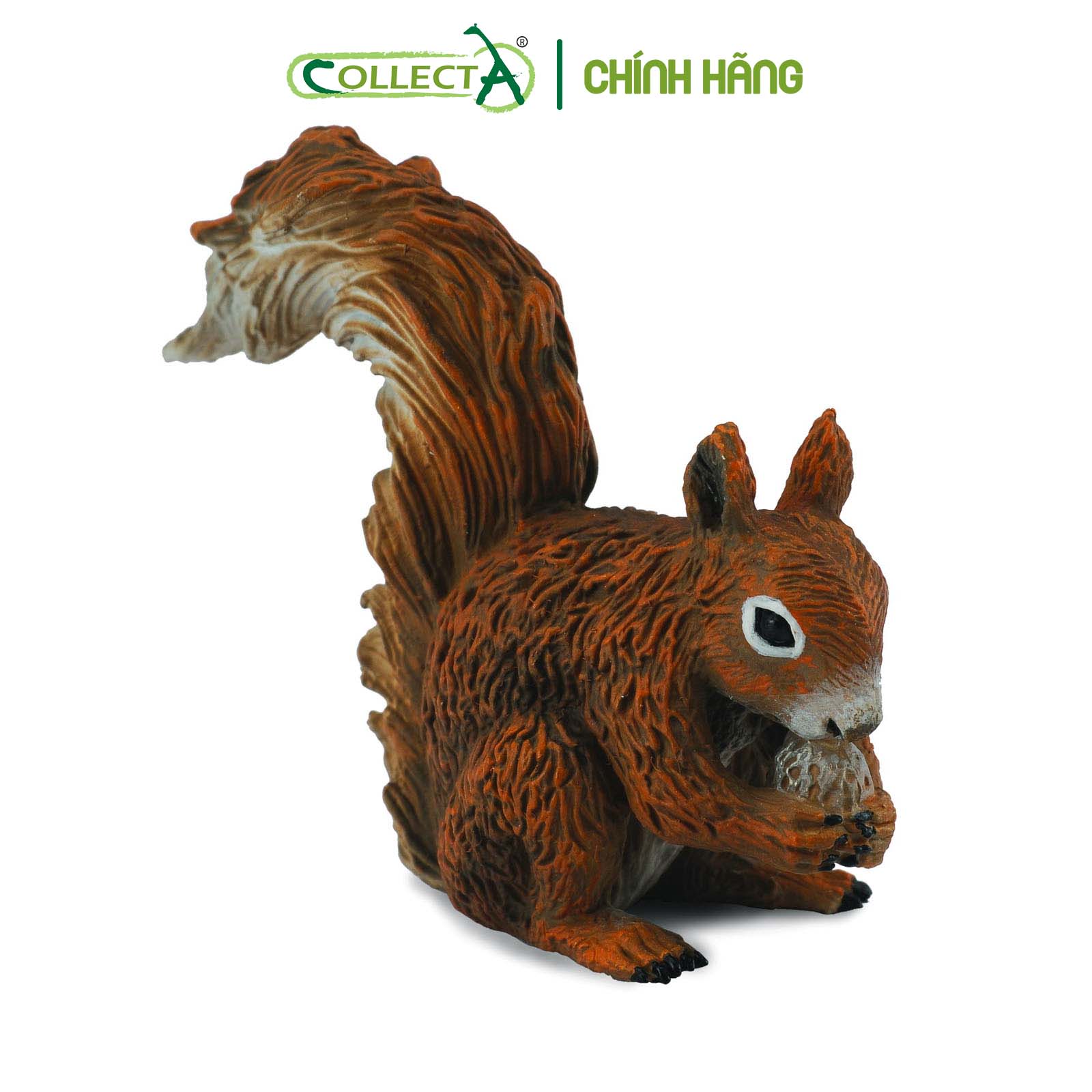 Mô hình thu nhỏ: Sóc - Red Squirrel - Eating, hiệu: CollectA, mã HS 9651330[88467] -  Chất liệu an toàn cho trẻ - Hàng chính hãng