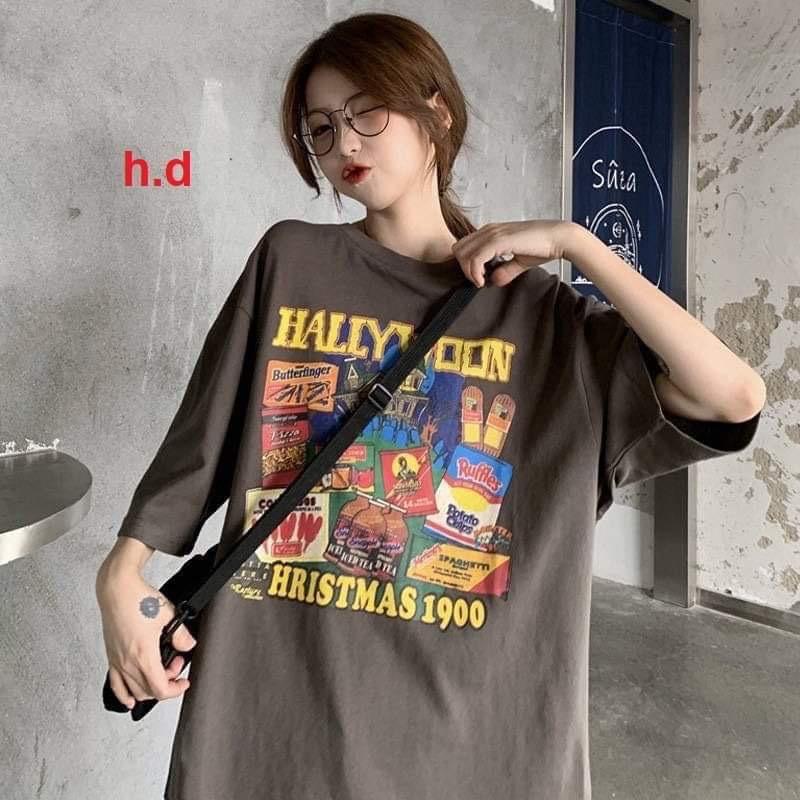 Áo HaLLy chất cotton su HD6