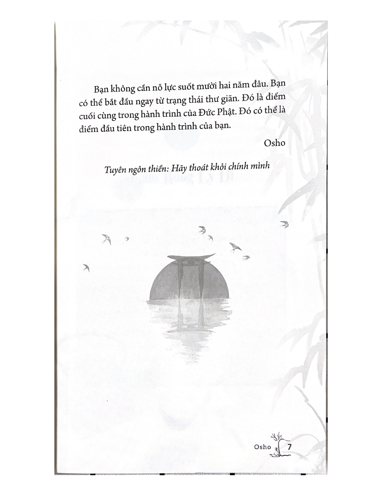 Osho  - Như Chim Sải Cánh  - Vanlangbooks