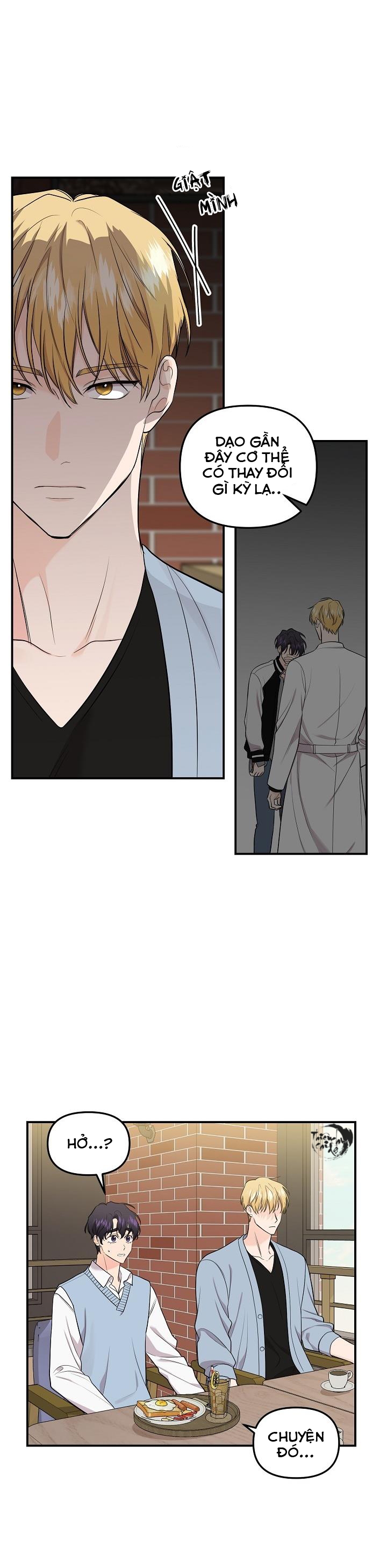 hoa ly hổ chapter 42 13