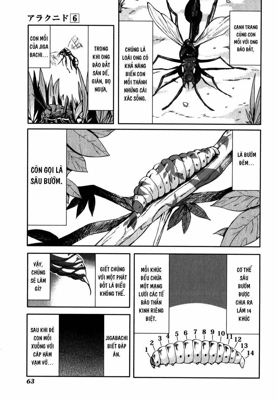 arachnid chapter 28 5