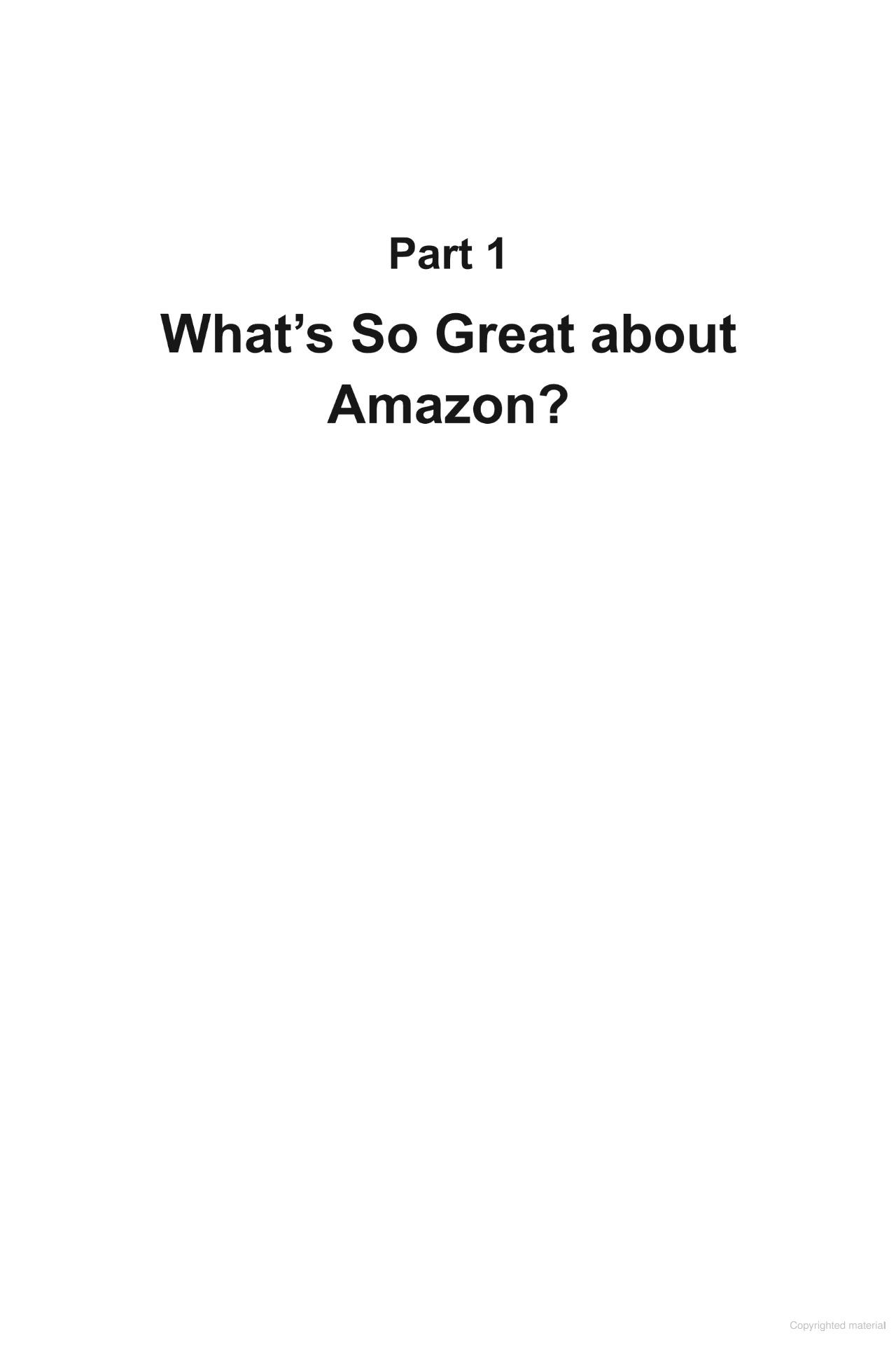 Sách ngoại văn: The Amazon Incubator