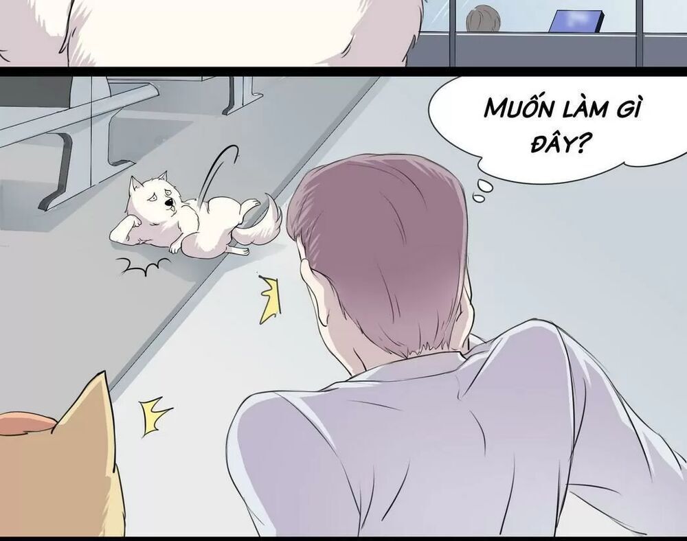 một con chó chapter 53 5