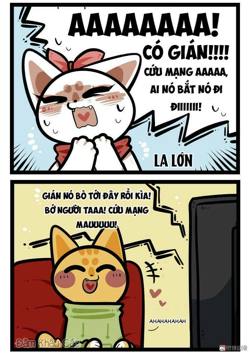 đời không như mình tưởng chapter 64 3